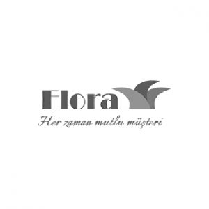Flora Çiçek